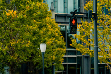 Japanese Traffic light installed at intersection in downtown Tokyo, Japan to prevent accident and...