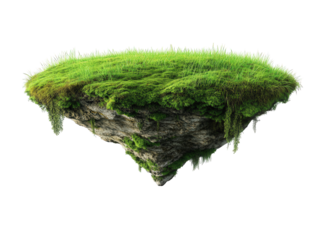 a floating island covered in lush green grass and small plants. suspended in mid-air against a white background this surreal representation highlights themes of nature and fantasy. evoking a sense of