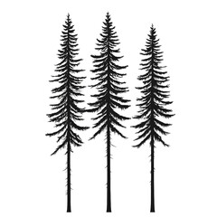tall thin monochromatic fir trees artistic 2D vector on white background