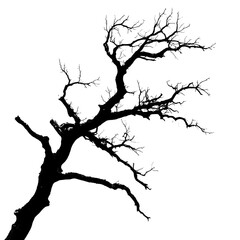 horror tree branch black on white background