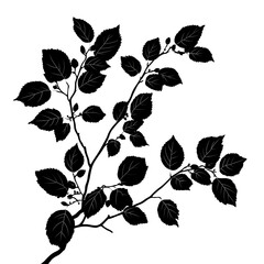 Fototapeta premium isolated tree leaves silhouette no shadow vector art monochrome black and white vector white background