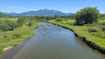 Fototapeta premium Mountain river valley landscape, summer day. Background farmland, trees. Use travel, nature