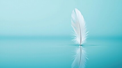 Naklejka premium Elegant white feather reflecting on tranquil turquoise water