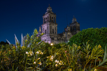 catedral
