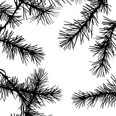 vector spruce needles black and white