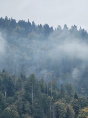 Clouds and Mist in the Hills in Ukraine