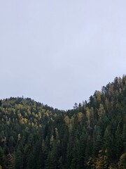 Autumnal rolling hill in Ukraine