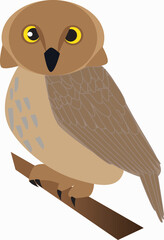 A vector art of an owl.