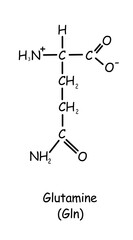 Chemistry Compound, Chemical structure : glutamine