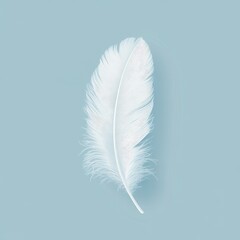 Single White Feather on a Light Blue Background