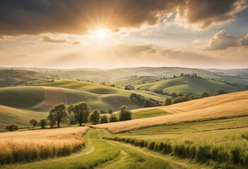 Obraz premium Soft, Warm Light Over a Vast, Open Landscape