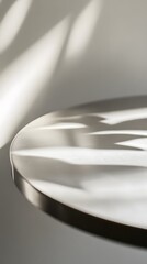 Round Tabletop with Leaf Shadows