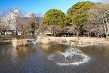 都立武蔵国分寺公園