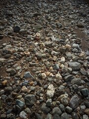 a spread of small to medium-sized rocks with various shapes, colors, and textures. The stones lie on a dry, rugged soil surface, creating a natural and rough aesthetic.