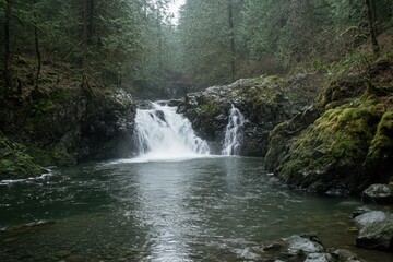 Obraz premium Serene Forest Waterfall Cascading into a Tranquil Pool Surrounded by Lush Greenery and Rocky Outcrops in a Peaceful Natural Landscape