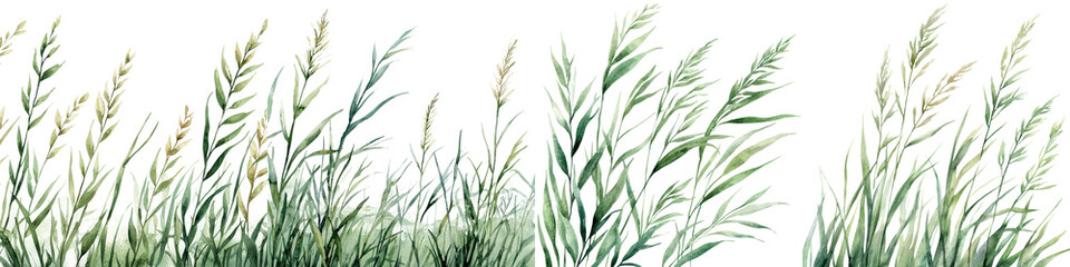 Fototapeta premium Lush green grass meadow with swaying plants in nature landscape