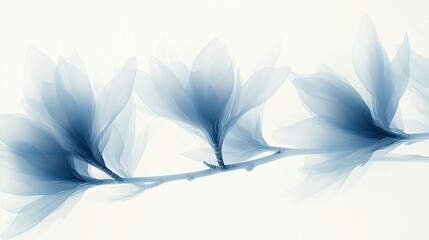 Naklejka premium Serene Blue Magnolia Blossoms Delicate Branch Abstract Art