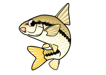 モツゴ　かわいい　イラスト ベクター形式