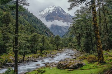Fototapeta premium Mountain river valley landscape, scenic view, misty peak, lush vegetation, nature background, travel photography