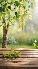 Spring summer beautiful natural background in sunlight and empty wooden table outdoors.