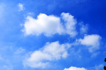 blue sky with clouds