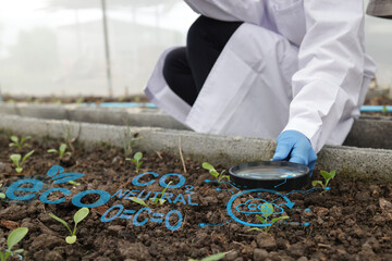 Senior male Agronomist inspects soil and planation plant  in a smart Vegetable Field, Recording...
