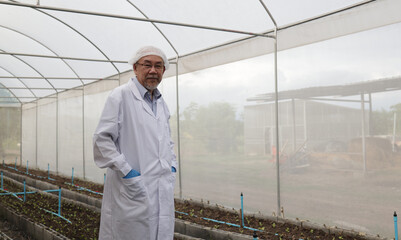 Senior male Agronomist inspects soil and planation plant  in a smart Vegetable Field, Recording...