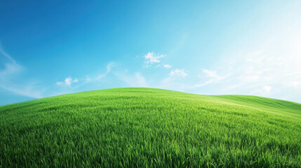 Fototapeta premium Lush green grassy hills under bright blue sky create serene landscape. vibrant colors evoke sense of tranquility and peace in nature