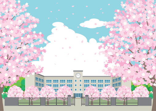 桜が咲く春の校舎のイラスト