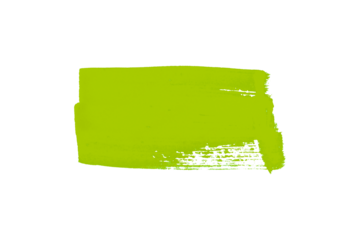 Green watercolor background. Artistic hand paint. Isolated on transparent background.
