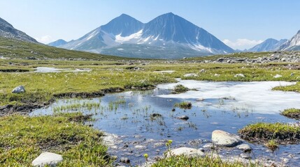 Lush valley with a reflective lake, soaring mountains, and a bright sunny sky