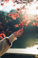 紅葉を見つめる女性
