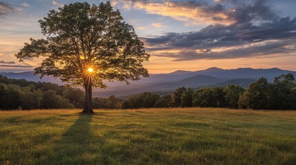 Fototapeta premium Sunset silhouettes a lone tree in a vast meadow, mountains in the background. Perfect for nature, peace, tranquility, and travel themes.