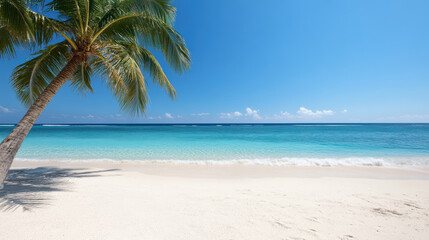 Fototapeta premium serene beach scene with palm trees and clear blue water