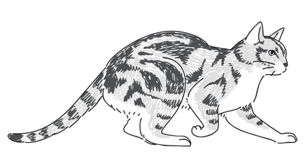 遊んでいるネコの手描きイラスト