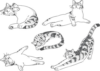 眠っているネコの手描きイラストセット