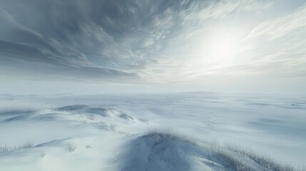 Obraz premium view of the Arctic tundra, with endless snowfields and low, sparse vegetation, where the horizon meets the frozen expanse under an overcast sky.