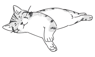 眠っているネコの手描きイラスト