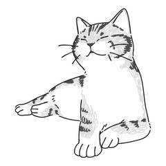 眠っているネコの手描きイラスト