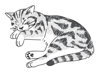 眠っているネコの手描きイラスト