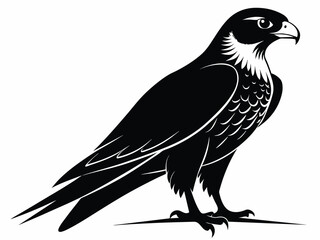 A minimalist black color peregrine falcon H.eps