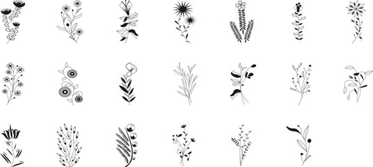 Obraz premium Meadow Wildflower Set