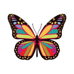 Hand drawn Rainbow Butterfly illustration vector