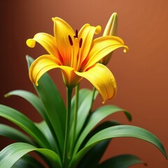 Obraz premium Saffron canna lily plant with lemon punch colored leaves , lily, flower