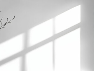 Minimalist Background with Window Shadow and Branch Silhouette on White Wall