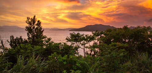 奄美大島龍郷湾の夜明け