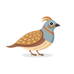 Cute Quail isolated flat vector illustration on white background.