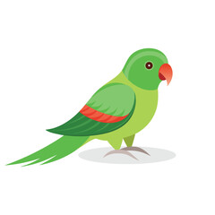 Fototapeta premium Alexandrine parakeet Bird isolated flat vector illustration on white background