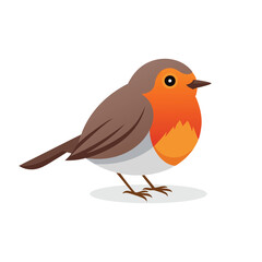 Cute robin bird isolated flat vector illustration on white background.