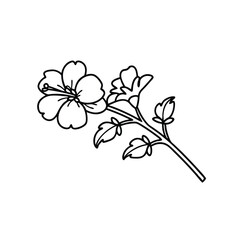 Marshmallow flower Hand drawn line art flat vector illustration.